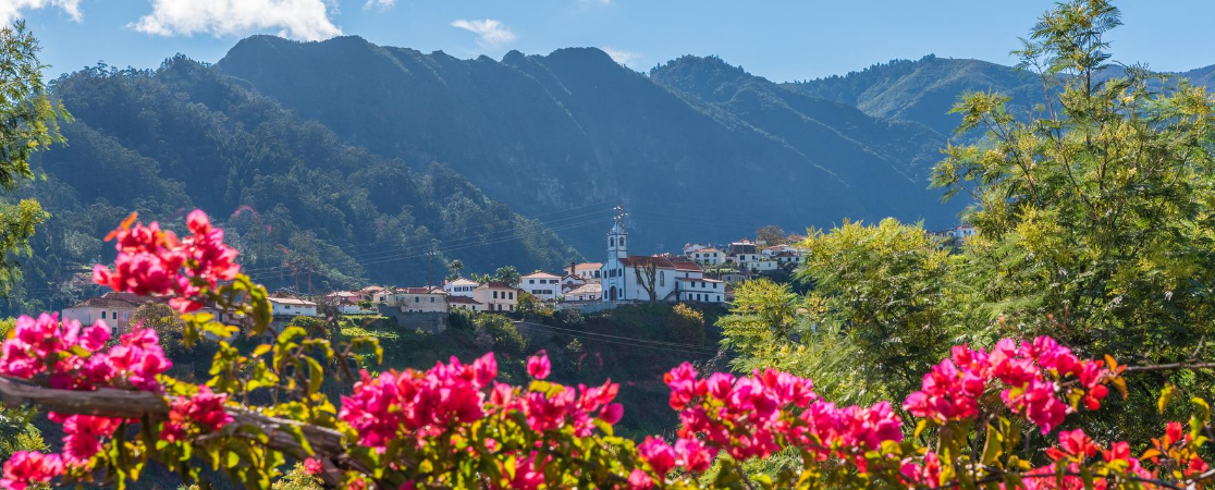 Flowers and mountainous landscapes on the island of Madeira