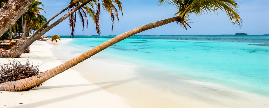 A photograph of a beach on a Caribbean island