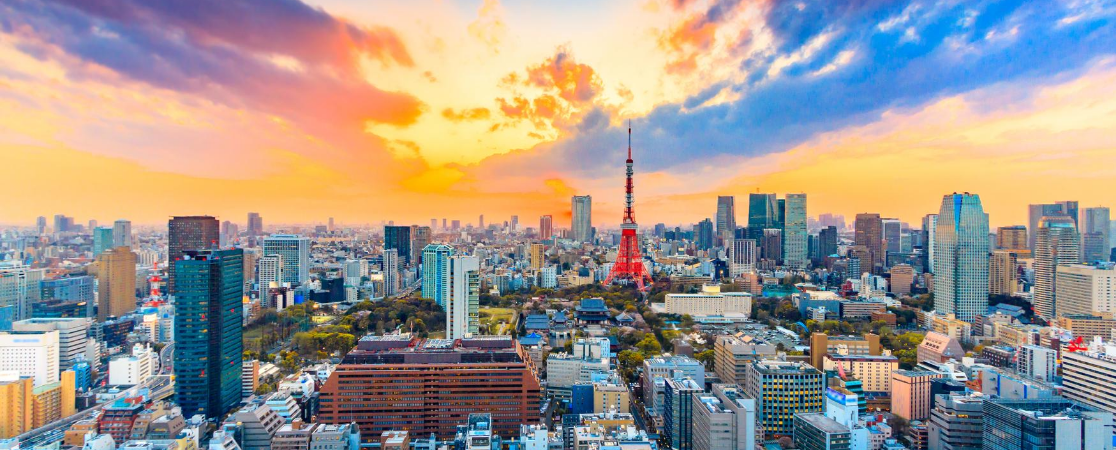 View over Tokyo city, Japan