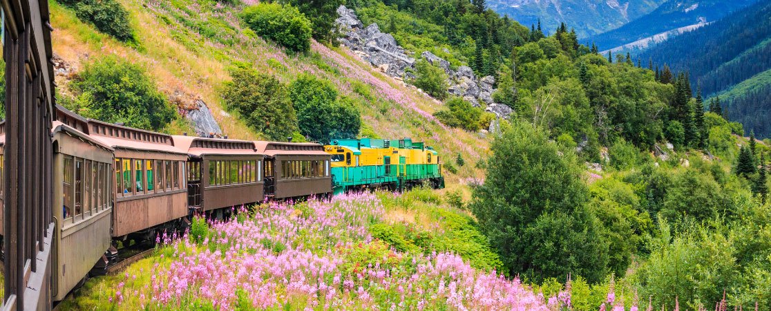 train.jpg
