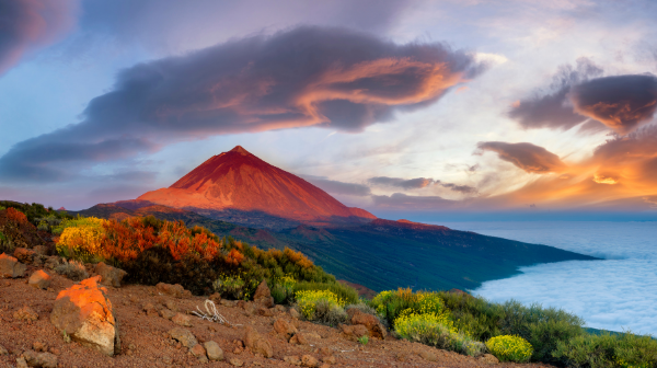 Tenerife.png